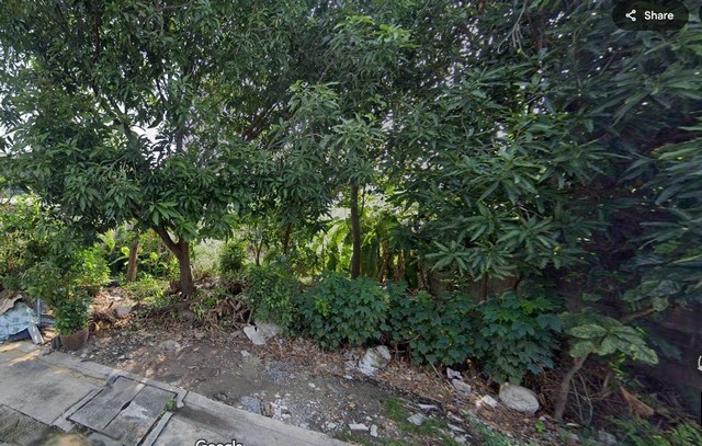 ขายที่ดินสวย 61ตารางวา  พหลโยธิน62 คูคต ลำลูกกา  ใกล้รถไฟฟ้า 10 นาที    ZTK181