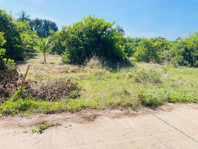 TEL : 092-288 9359 คุณดนิตาLine : https://line.me/ti/p/yxo92dHWP1ขายที่ดินแปลงสวย วิวเขา 1 ไร่ ต.บ่อกวางทอง อ.บ่อทอง ชลบุรีเนื้อที่ 1ไร่ (400 ตรว.)ที่ดินอยู่ใน เทศบาลตำบลบ่อกวางทองที่ลงต้นไม้มะม่วงหิมะพานที่ติดถนน พร้อมสร้างบ้าน ไม่ต้องถม น้ำ,ไฟ มาพร้อม ไม่เปลี่ยวโดดเดี่ยว  สามารถเข้าออกได้สองทางน้ำ-ไฟเข้าพร้อมปลูกบ้าน มีเพื่อนบ้านน่ารักสถานที่ใกล้เคียง - จากเทศบาลบ่อกวางทอง 3.2 กิโลเมตร- จากโรง