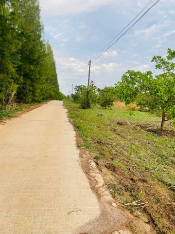 ขายที่ดินแปลงสวย วิวเขา 1 ไร่ ต.บ่อกวางทอง อ.บ่อทอง ชลบุรี FP-L052