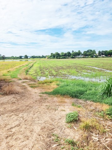 ขายที่ดินเปล่า 2 ไร่ ใกล้ร้านขนมเปี๊ยะแม่ศรีเมืองอินทร์บุรี และ ใกล้ปั๊มน้ำมัน PT สาขาอินทร์บุรี2
