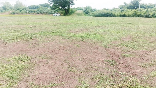 ขายที่ดินเปล่า 3-1-38 ไร่ ติดแม่นำลพบุรี ใกล้ โรงพยาบาล มหาราช