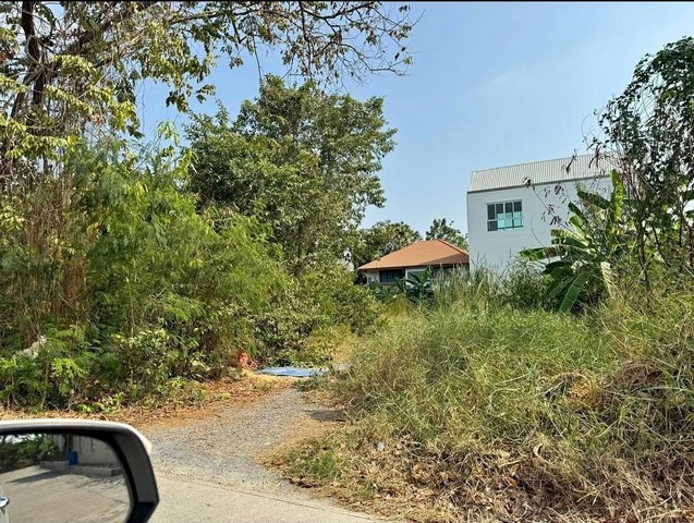 รหัสทรัพย์ R3234 ขาย ที่ดิน เหมาะทำบ้านพักอาศัยมีระดับ ถนนสุขุมวิท อ่อนนุช