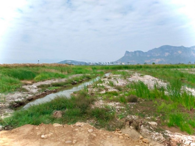 ขายที่ดินเปล่า วิวภูเขา ใกล้หาดชะอำ  เนื้อที่ 16-1-84 ไร่  ถนนเพชรเกษม ตำบลชะอำ อำเภอชะอำ จังหวัดเพชรบุรี