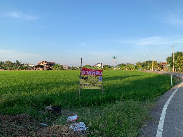 ขายที่ดิน 15-3-88 ไร่ ซอยหมอวิญญู แหล่งชุมชน  ใกล้อบต.หนองจอก บางปะกง  ฉะเชิงเทรา   ZN673