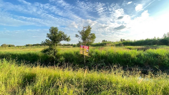 ขายที่ดินคลองหก 3-3-38 ไร่ ใกล้ ม.เทคโนโลยีราชมงคลธัญบุรี  คลองหลวง ปทุมธานี  ZN670