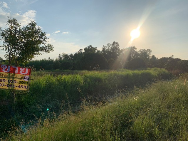 ขายที่ดินคลองหก 3-3-38 ไร่ ใกล้ ม.เทคโนโลยีราชมงคลธัญบุรี  คลองหลวง ปทุมธานี  ZN670