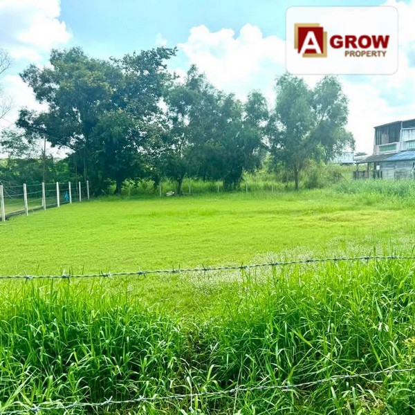 ที่ดินเปล่า หมู่บ้าน ฟีนิกซ์ ปาร์ค ซอยไอยรา 28  เหมาะสำหรับซื้อเก็บ หรือสร้างบ้านพักอาศัย บรรยากาศเงียบสงบน่าอยู่