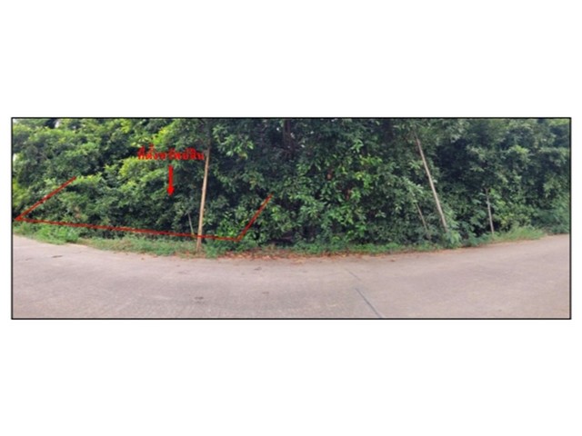 ขายที่ดิน อำเภอโกรกพระ  จังหวัดนครสวรรค์ 2 งาน 37.20 ตร.ว