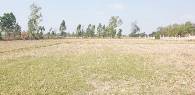 ขายที่ดินเปล่า 5 ไร่ ใกล้วัดทะเลบก และ ใกล้โรงเรียนวัดทะเลบก 