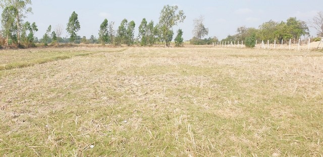 ขายที่ดินเปล่า 5 ไร่ ใกล้วัดทะเลบก และ ใกล้โรงเรียนวัดทะเลบก