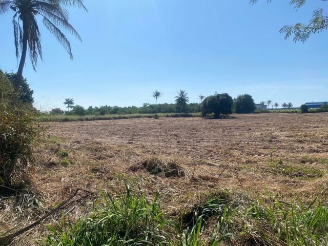 ขายที่ดินสวย เขต EEC ใกล้นิคมปิ่นทอง เขาตะแบก ศรีราชา TP-L0870