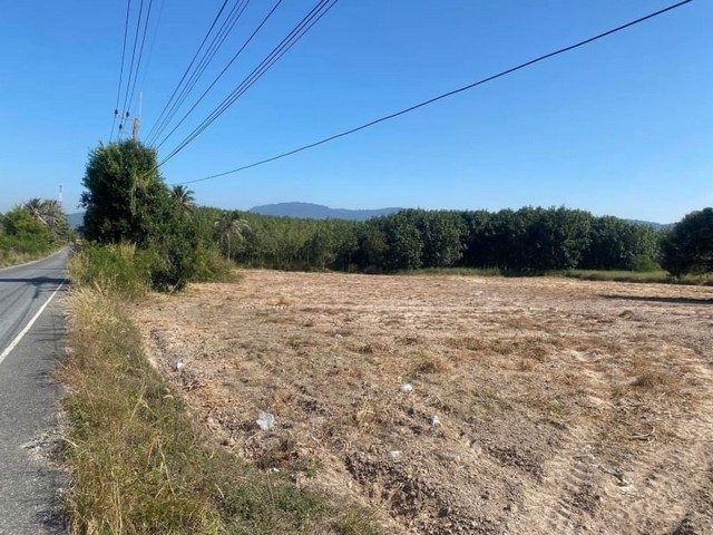 ขายที่ดินสวย เขต EEC ใกล้นิคมปิ่นทอง เขาตะแบก ศรีราชา TP-L0870