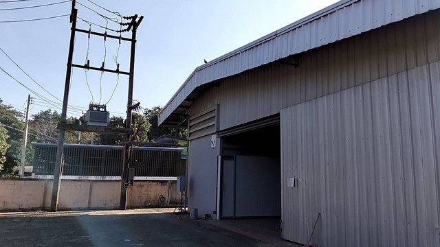 ขายด่วนที่ดิน 393 ตรว  ต.หนองบัวศาลา อ. เมือง นครราชสีมา 