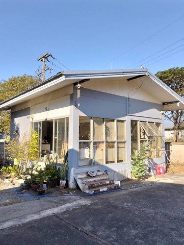 ขายด่วนที่ดิน 393 ตรว  ต.หนองบัวศาลา อ. เมือง นครราชสีมา