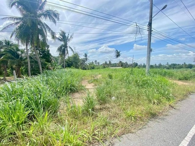 TEL : 092-288 9359 คุณดนิตาLine : https://line.me/ti/p/yxo92dHWP1รายละเอียด ขนาดที่ดิน 5-0-85 ไร่ หน้ากว้าง 60 เมตร ยาว 130 เมตรแบ่งขายได้ 1 ไร่ หน้ากว้าง 20 เมตร ยาว 80 เมตร พร้อมให้ดำเนินการ ที่ดินได้รูปสีเหลี่ยม ได้รูปทรงการเดินทางสะดวก ติดถนนหลัก สถารณูปโภคครับครัน - เข้าออกได้ 2 เส้นทาง - ใกล้ถนน 331 - นิคมปิ่นทอง 1,2,3 และ เหมราช - ติดถนนหุบบอน-บ่อวิน - ใกล้สะพานกระจก วัดเขาตะแบก- โรบินสัน บ่อวิน  - เจพาร์ค นิฮอน ม