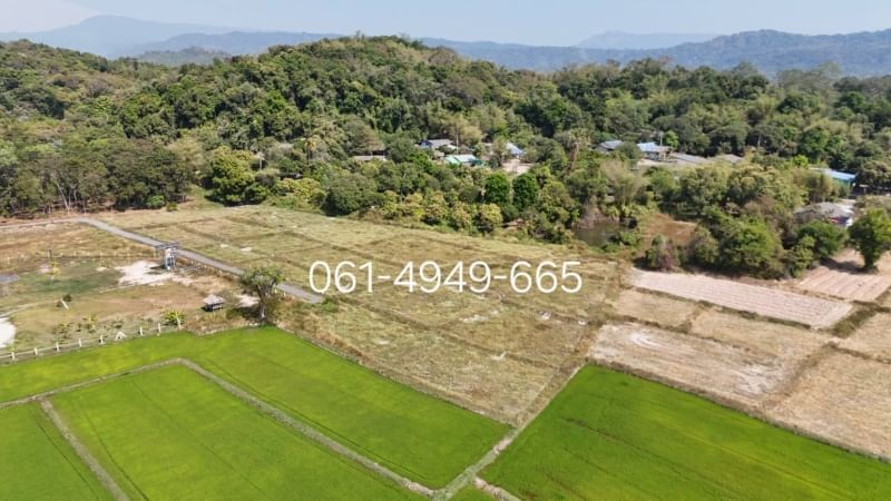 สนใจมาเที่ยวชมโทร ติดต่อ นกได้หลายช่องทางนะคะโทร. 061-494-9665โทร. 063-635-5651 (เบอร์นี้ไลน์เต็มค่ะ)ไลน์ไอดี : @nyland789(ไลน์คลิ๊กแล้วทักมาได้เลยค่ะ) https://lin.ee/R8sP0rj____________________________ที่สวยวิวเขา ตรว.ละ 3,000 โฉนดแบ่งแยกเรียบร้อยพร้อมโอนต.ศรีนาวา อ.เมืองนครนายก จ.นครนายกโฉนดครุฑแดงพร้อมโอนรูปที่สวยทุกแปลง เป็นที่ราบเชิงเขาสวยตรว.ละ 3,000A 386 ตรว. 1,158,000B 385 ตรว. 1,155,000C 385 ตรว. 1,155,000D 600 ตรว. 1,800,000มีเพื่อนบ้าน ประปา ไฟฟ