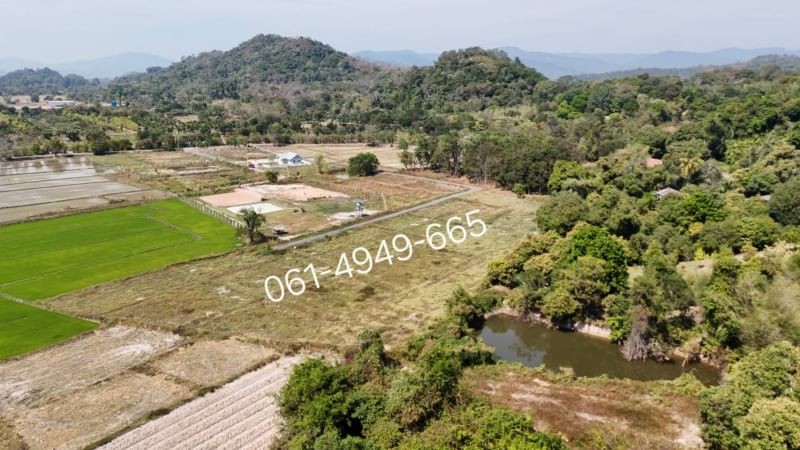 ขายที่สวยวิวเขา ตรว.ละ 3,000 โฉนดแบ่งแยกเรียบร้อยพร้อมโอน ต.ศรีนาวา อ.เมืองนครนายก รูปที่สวยทุกแปลง เป็นที่ราบเชิงเขาสวย