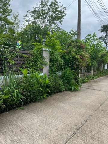 ที่ดินเปล่า ใกล้ถนนหลักโชตนา ดอนแก้ว แม่ริม