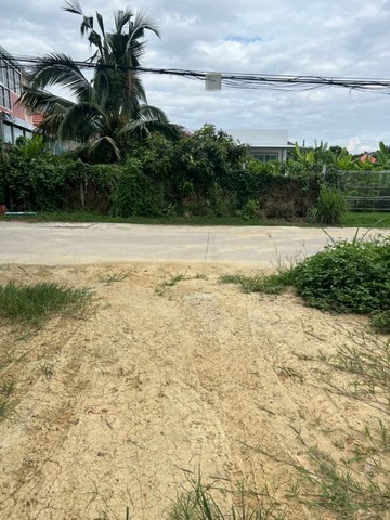 ลดราคาขาย ที่ดินติดถนน ใกล้รพ.นครพิงค์ ดอนแก้ว แม่ริม 