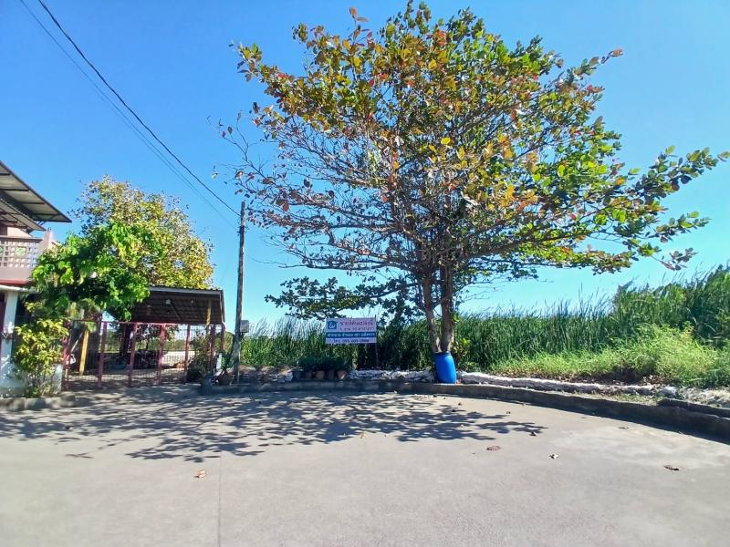 cx ขายที่ดินเปล่า ม.เทพธานี ถ.เฉลิมพระเกียรติ ร.9 ซอย 62 โทร.0999983897