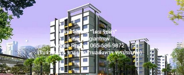 condominium มายคอนโด สุขุมวิท 81 ขนาดพื้นที่ 25 ตร.ม. 11000 BAHT   ราคาดีเยี่ยม กรุงเทพ
