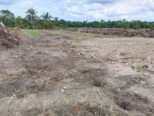 ขายที่ดินพร้อมสิ่งปลูกสร้าง บ้าาน 1 หลัง และห้องแถว 4 หลัง  โฉนด 2 แปลง เนื้อที่ 6 ไร่ 1 งาน ตำบลนาขา อำเภอหลังสวน จังหวัดชุมพรพื้นที่จะยาวไปถึงทางรถไฟเลยค่ะ หน้าแคบ หลังกว้าง หวัดชุมพร ที่ตั้ง หมู่7 ซอยหนองปลา 1 ตำบลนาขา อำเภอหลังสวน จังหวัดชุมพร 86220https://maps.app.goo.gl/fwsac3JzhusARQgy5ขนาดพื้นที่ 6 ไร่ 1 งานรายละเอียดหน้าติดถนนคอนกรี หลังติดทางรถไฟสายใต้อยู่ใกล้เรือนจำห้วยกลั้ง และโ