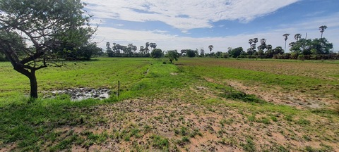 ขายด่วน!! ที่ดิน 193ไร่ แบ่งขาย 3 แปลง ติดทรัพย์ ไร่ละ 820,000฿