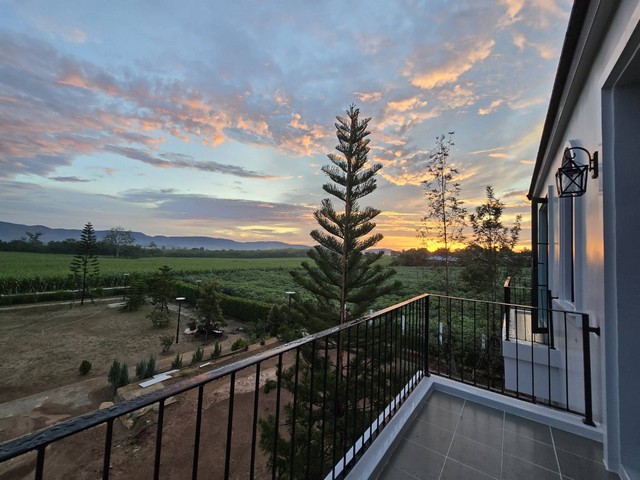 ขายบ้านเดี่ยว 2 ชั้น สไตล์ยุโรปโซนเขาใหญ่วิวภูเขาแบบพาโนรามา 180 องศา ขนาด 1 ไร่ 2 งาน บนถนนปากช่อง - วังน้ำเขียว(2235) 