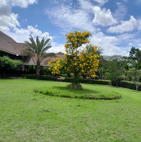 ขายรีสอร์ทส่วนตัว ไทรโยค กาญจนบุรี ติดแม่น้ำ แควน้อย 32 ไร่ วิวสวย หน้าน้ำกว้างมาก ขายพร้อมต้นสัก อายุ 10 ปี เกือบ 26 ไร่