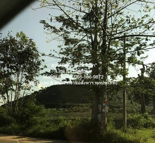 พื้นที่ดิน ขายที่ดินเปล่าปากน้ำปราณ (ห่างชายทะเลปากน้ำปราณ 3 กม.) 335.5 ตร.ว. 0 ไร่ 2 Ngan 0 ตาราง.วา  2000000 THB   ราคา ดี ประจวบคีรีขันธ์