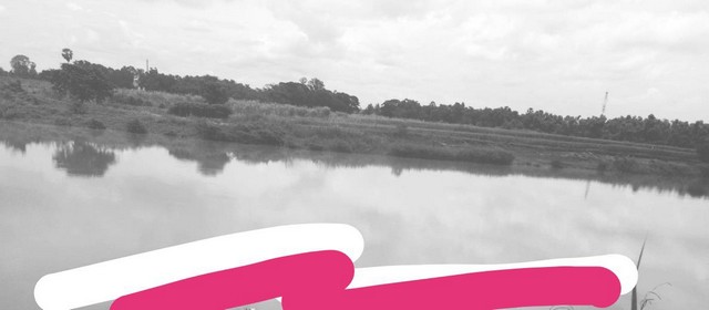 อสิงห์หา ขายทรัพย์ดีราคาคุยกันได้  ขายที่สวยติดแม่น้ำน่าน ชุมแสง  จ.นครสวรรค์ 300000 บาท.วิวแม่น้ำเกษตรดีงามสวยสมบูรณ์