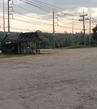 ไร่ละ 1 ล้านบาท เริ่มต้น 7-31 ไร่ I ราคาดีที่สุดในแม่แตง ที่ดินผืนใหญ่ โฉนดพร้อมทุกแปลง เชื่อมต่อถนน