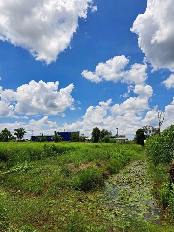 รังสิต คลอง10 หนองเสือ ที่ดินร่องสวน 4 ไร่ ถนนรังสิต-นครนายก
