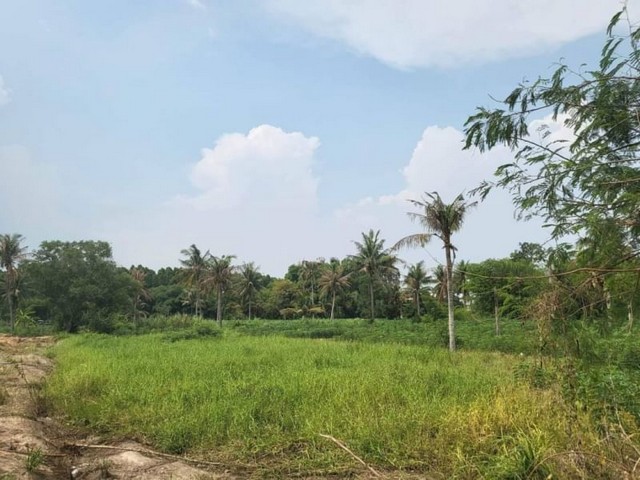 ขายที่ดินศรีราชา ทำเลทอง เขตผังสีม่วง โซนบึง ศรีราชา ชลบุรี FP-L077