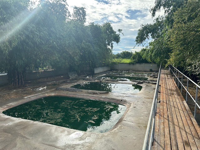 ขายที่ดินพร้อมสิ่งปลูกสร้าง  84 ไร่ 0 งาน 73 ตารางวา  ตำบลทุ่งลูกนก อำเภอกำแพงแสน จังหวัดนครปฐม ที่ตั้ง : ตำบลทุ่งลูกนก อำเภอกำแพงแสน จังหวัดนครปฐมขนาดพื้นที่ :  84 ไร่ 0 งาน 73 ตารางวา รายละเอียดขายที่ดินพร้อมสิ่งปลูกสร้าง 84-0-73 ไร่ และธุรกิจฟาร์มจระเข้มีเอกสารครบ CITES - GMPใกล้ทางด่วน พร้อมทำธุรกิจต่อทันทีระยะทางจากสถานที่สำคัญ    - กรุงเทพมหานคร 105 กิโลเมตร- มหาวิทยาลัยเกษ