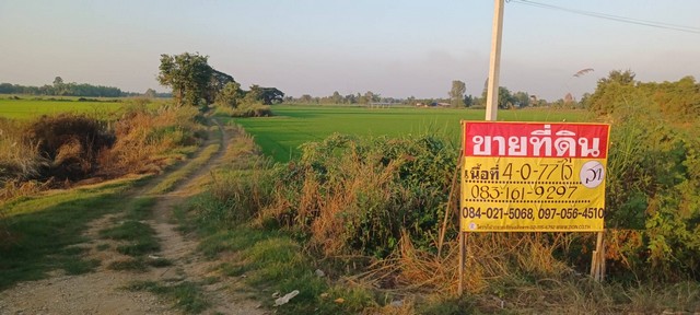 ขายที่นาทำเลดี 4-0-77 ไร่  ติดถนนหลวง ราคาถูก ตรงข้ามปั้มน้ำมัน ปตท. สาขาบางระกำ พิษณุโลก   ZK402