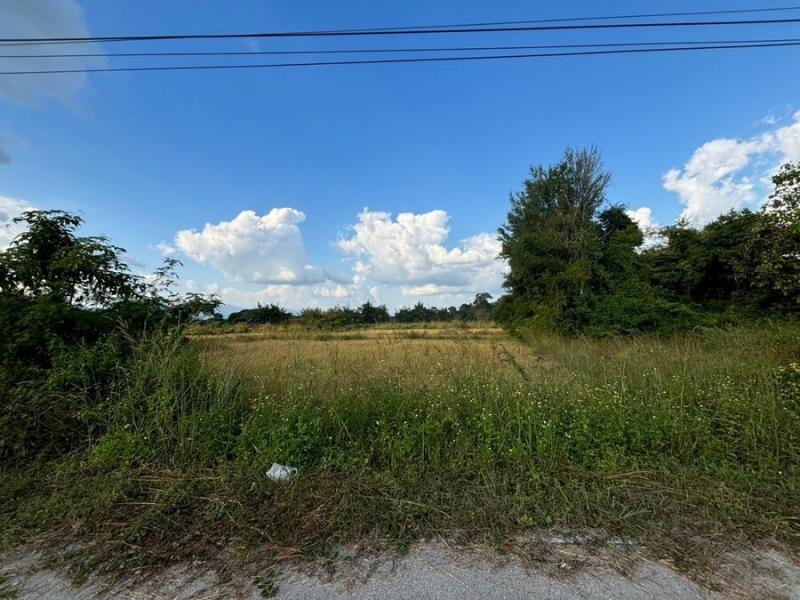 ขายที่ดิน 2ไร่ 3งาน 48ตร.ว. ต.หนองหล่ม อ.ห้างฉัตร จ.ลำปาง