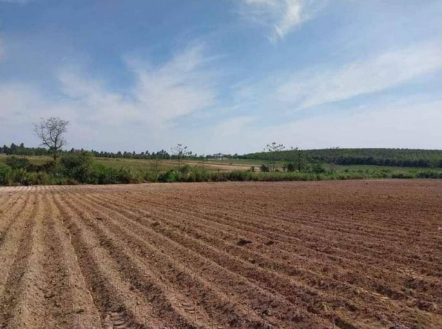 ขายที่ดินเปล่า แปลงสวย โซนพันเสด็จ ศรีราชา ชลบุรี FP-L079