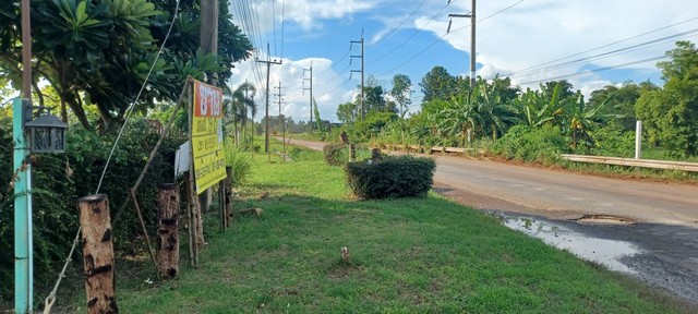 ขาย สวนไผ่รีสอร์ท ราคาถูก  เนื้อที่19-0-0  ไร่  ใกล้เขื่อนอุบลรัตน์  น้ำพอง  ขอนแก่น   ZE716