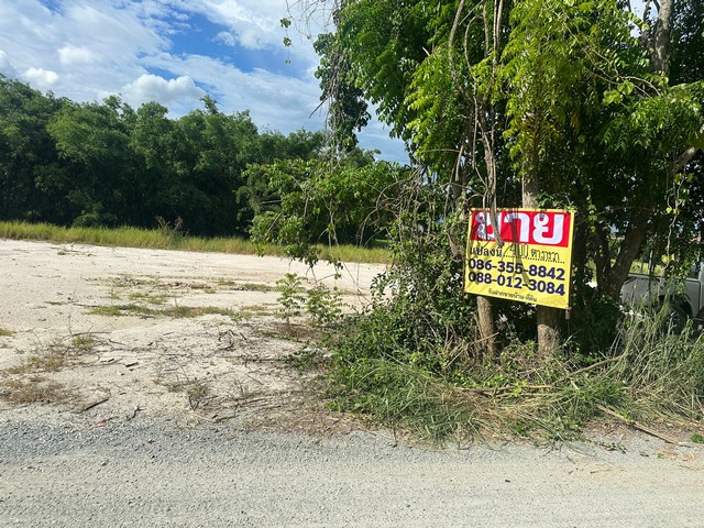 ขายที่ดิน 400 ตารางวา ซอยโป่งตามุข 14 ตำบลมาบโป่ง พานทอง ชลบุรี  ZT449