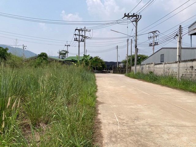 ขายที่ดิน 1 ไร่ บ้านหนองข่า ติดอ่างบางพระ  ศรีราชา ชลบุรี   ZT446