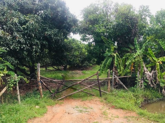 ที่ดินแปลงสวย วิวดอยสุเทพ สวนลำไย โซนน้ำแพร่