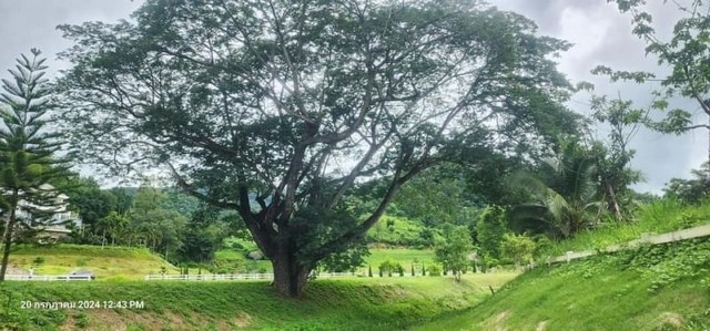 ขายที่ดินติดน้ำ วิวสวย บรรยายกาศดี บ้านปง หางดง