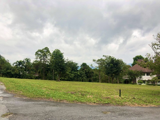 ขายที่ดิน 470 ตร.ว.มวกเหล็ก จ.สระบุรี แปลงมุม สนามกอล์ฟเซอร์เจมส์คันทรีคลับ Forest Hill