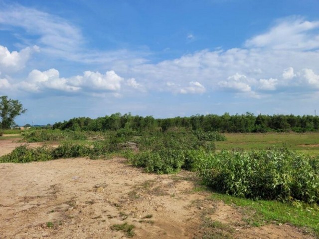 ขายที่ดินแปลงใหญ่ ทำเลดี ย่านเศรษฐกิจ ติดถนน ใกล้เมืองสงขลาพื้นที่ดินสีชมพู ขนาดเนื้อ 48ไร่ 1งาน 63ตร.ว. ใกล้โรงพยาบาลสงขลา - ถนนลพบุรีราเมศร์เหมาะสร้างโครงการหมู่บ้าน โรงแรม รีสอร์ทขายยกแปลงราคารวม 169,426,250บาท จากราคาไร่ละ 5,000,000บาท ลดพิเศษ เหลือเพียง ไร่ละ 3,500,000บาท เท่านั้นสนใจติดต่อPATCHA : 091 7893629Line : https://line.me/ti/p/PJC140n5G4MAIL : Ddestinycontact@gmail.com