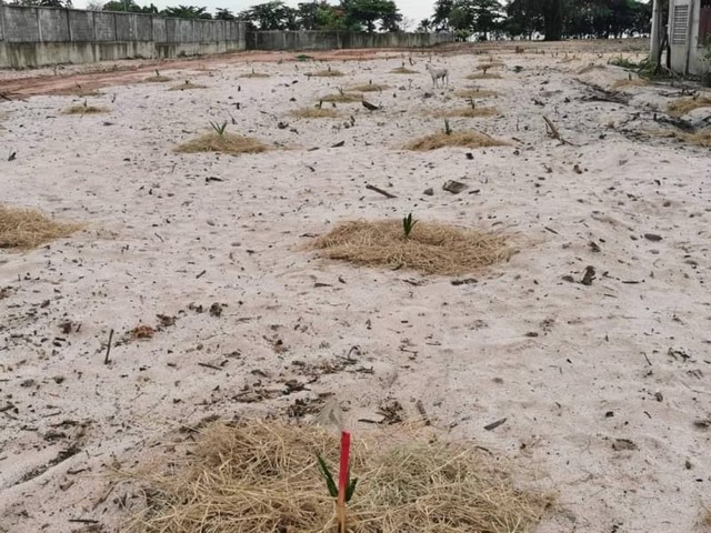 TEL : 092-288 9359 คุณดนิตาLine : https://line.me/ti/p/yxo92dHWP1ขายที่ดินติดสุขุมวิท-ทะเลพัทยา นาเกลือ บางละมุง ฝั่งขาเข้ากรุงเทพราคาขายตารางวาละ 150,000 บาทค่าธรรมเนียมโอนคนละครึ่ง (ราคากรมที่ดิน)เขตพื้นที่สีแดงโฉนด 3 แปลง (ไม่แบ่งขาย)แปลงที่ 1 เนื้อที่ 7-0-70 ไร่แปลงที่ 2 เนื้อที่ 4-1-02 ไร่แปลงที่ 3 เนื้อที่ 3-0-32 ไร่ยกแปลง 14-2-04 ไร่หากต้องการขยายหน้าถนนมีแปลงติดกัน เนื้อที่ 395 ตารางวาเป็นของครอบครัวเสนอซื้