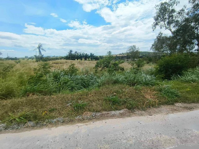 ขายที่ดินติดถนน  3-1-28 ไร่  เขาไม้แก้ว บางละมุง ชลบุรี  ZT452 