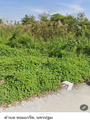 ขายที่ดินแปลงสวย 1 ไร่ อ.สามพราน จ.นครปฐม ใกล้วัดไร่ขิง ! เหมาะสร้างบ้านหรือซื้อเก็บ!!ด่วนมาก