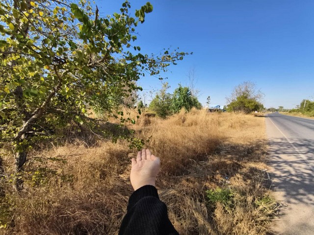 ขายที่ดิน 6 ไร่ 26 ตร.วา ต.บ้านแก้ง อ.แก้งคร้อ จ.ชัยภูมิ