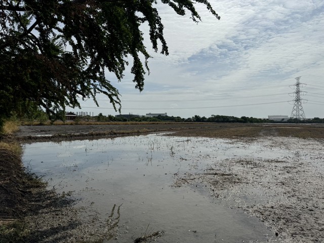 ขายด่วนที่ดิน ทำเลทอง ติดถนนใหญ่ โซนโรงงานเฒ่าแก่น้อย โรจนะ ขนาด 5 ไร่